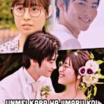 unmei kara hajimaru koi you are my destinty